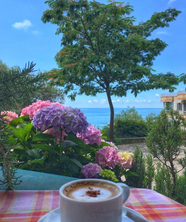 View Budva