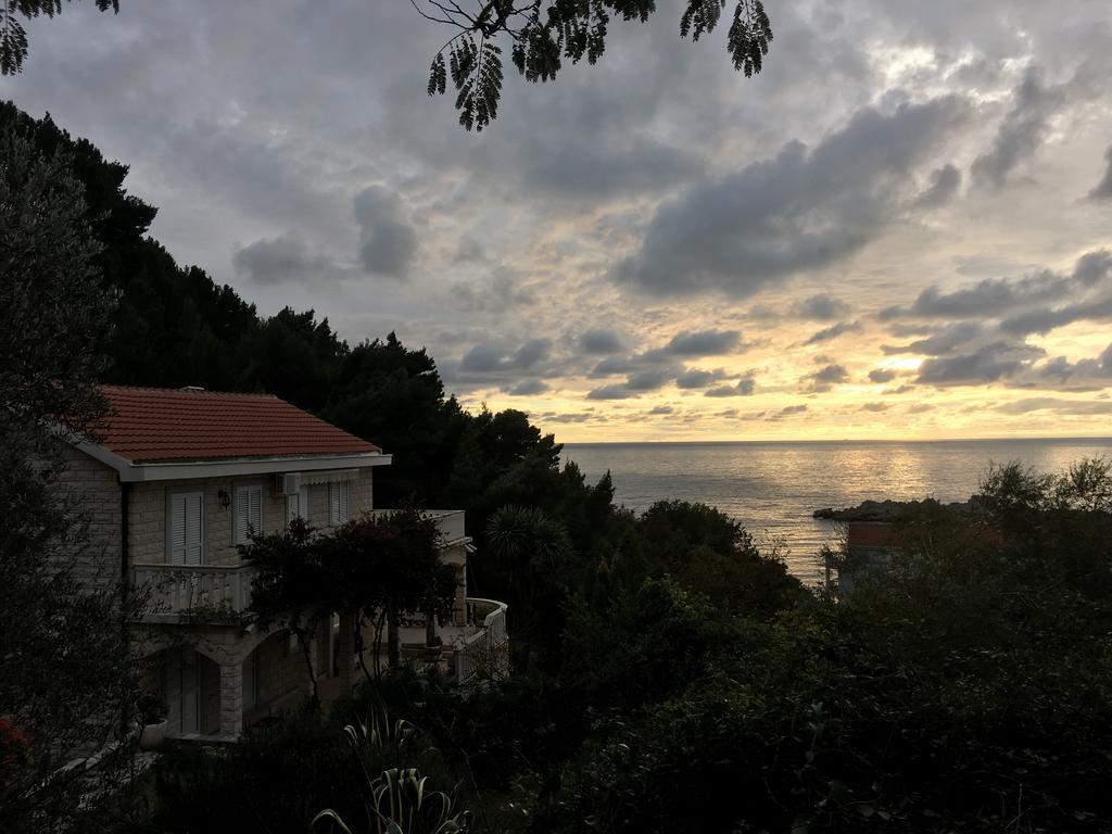 Apartament View *