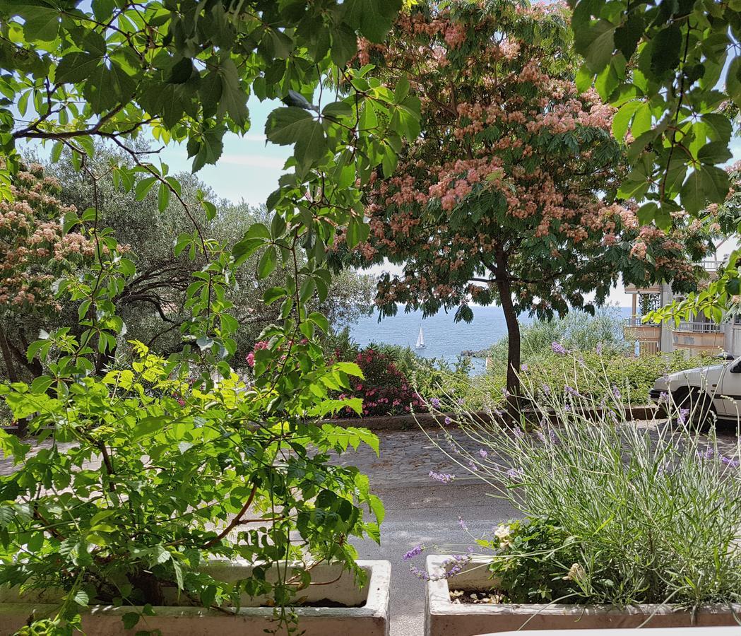 View Apartament Budva