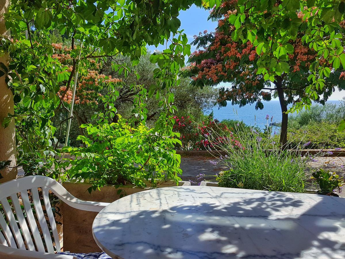 View Apartment